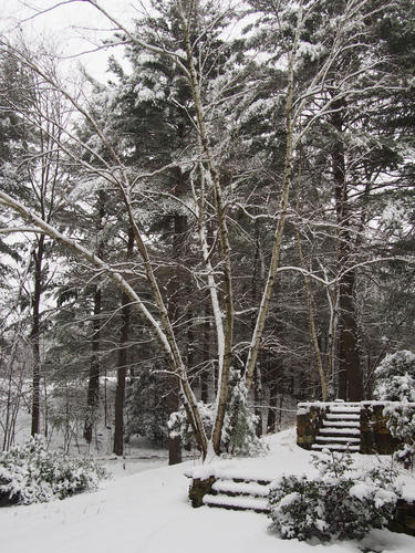 Snowy stairs #2