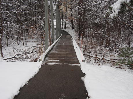 Snowy path
