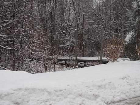 Snowy bridge
