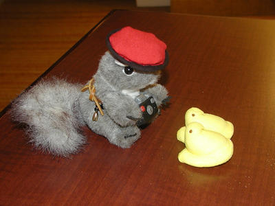 Taking pictures of the peeps