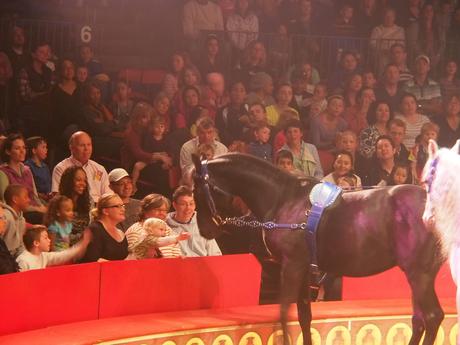 Pretty horse and kid