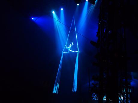 Aerialist