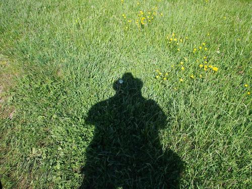 The photographer's shadow