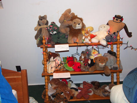 Stuffed animals with Christmas lights