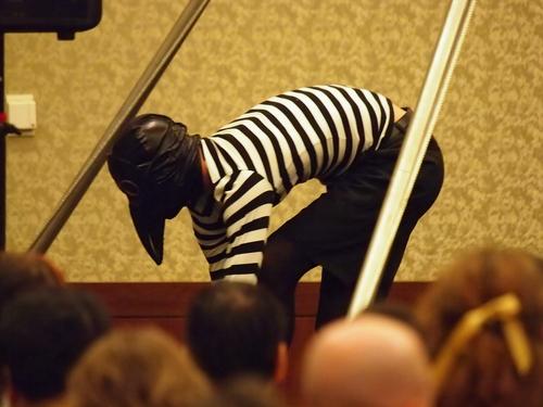 Piscis Volans Circus