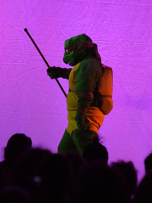 Teenage Mutant Ninja Turtle