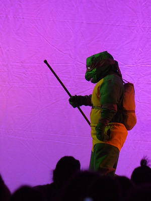 Teenage Mutant Ninja Turtle #2