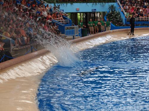 And the audience gets wet