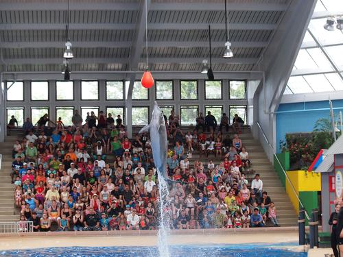 Look how high I can jump!