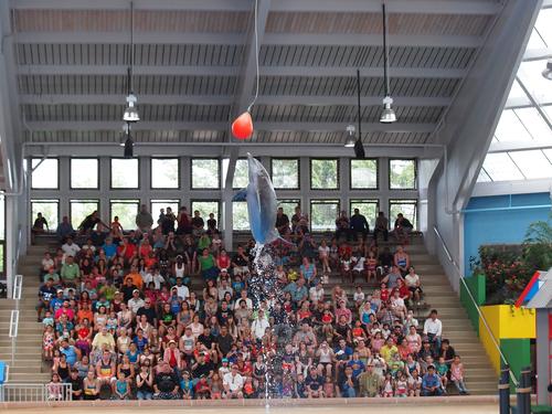 Look how high I can jump! #2