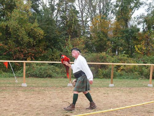 Birds of the Gauntlet