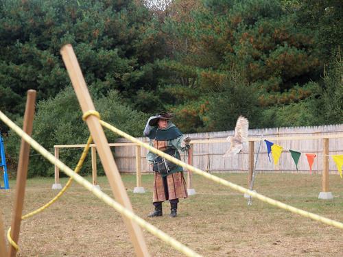 Birds of the Gauntlet #8