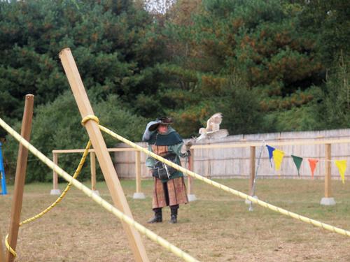 Birds of the Gauntlet #9