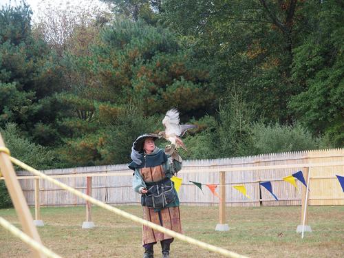 Birds of the Gauntlet #12