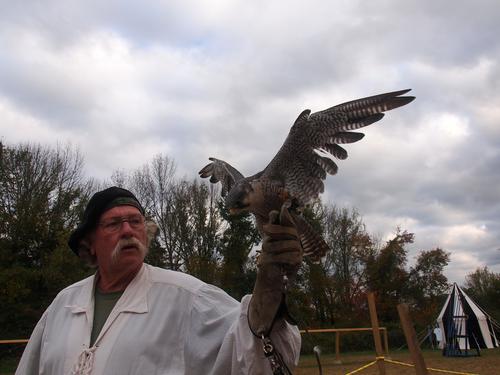 Birds of the Gauntlet #13