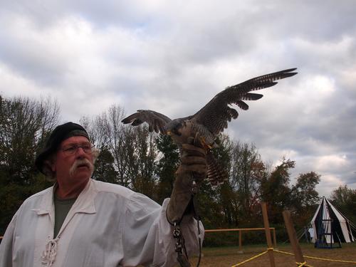 Birds of the Gauntlet #14