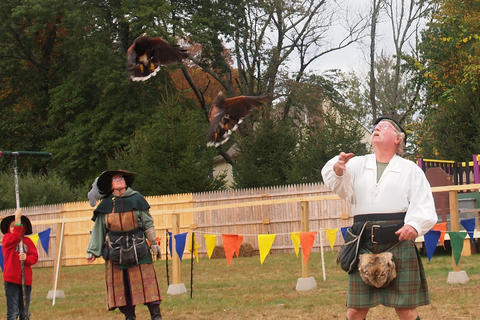 Birds of the Gauntlet #15