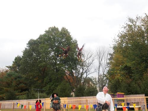 Birds of the Gauntlet #16