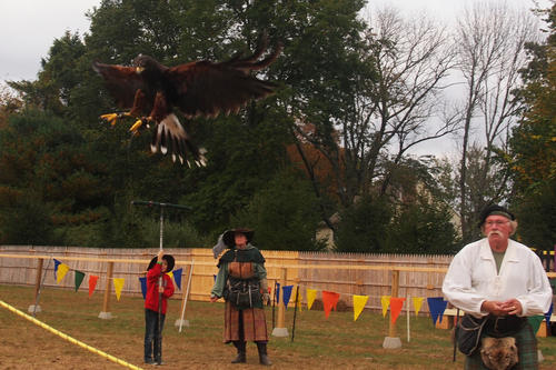 Birds of the Gauntlet #17