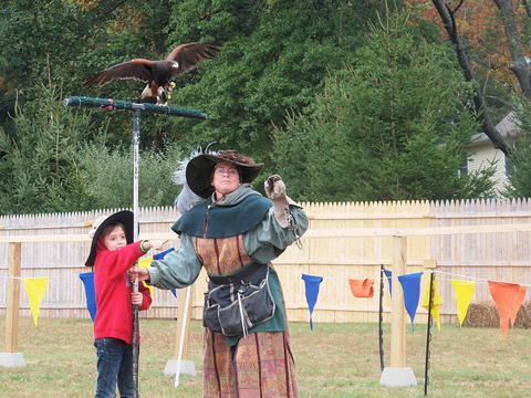 Birds of the Gauntlet #18