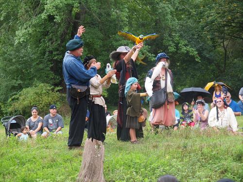 Birds of Prey show #2