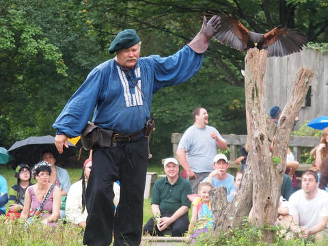 Birds of Prey show #3