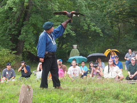 Birds of Prey show #4