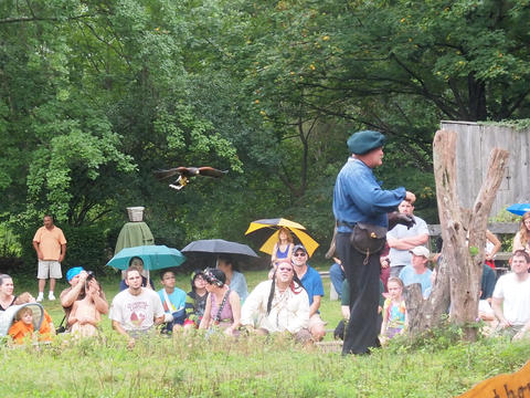 Birds of Prey show #5