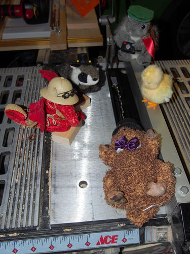 Next year, no extra winter, or else!!!! #2