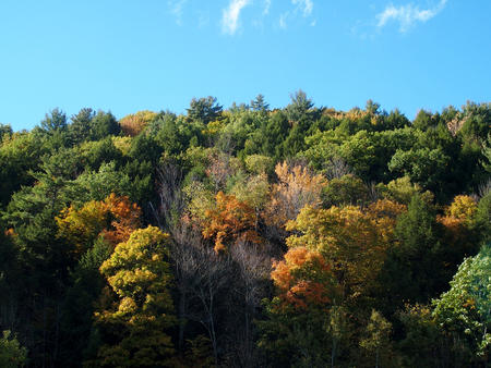Vermont fall #4