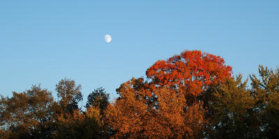 Fall moon