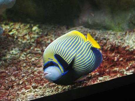 I'm chillin' on the bottom