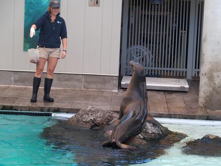 Ok, back into the water