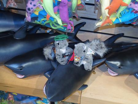 Nutzo and Levina catch some sharks