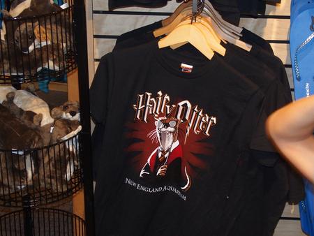 Harry Otter tee shirt