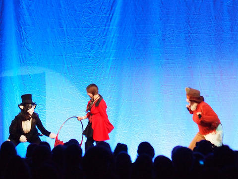 Even in masquerade dreams, cat's don't obey