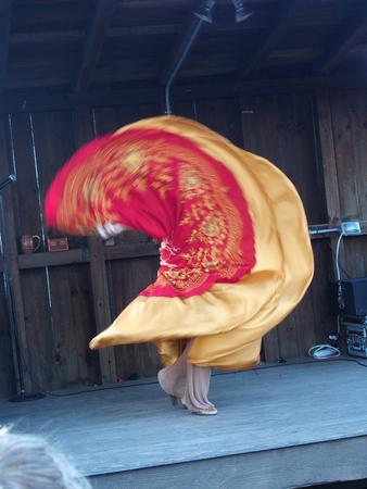 Lady Josephine's dress