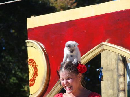 I'm in control of the human