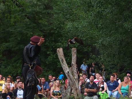 Birds of Prey show