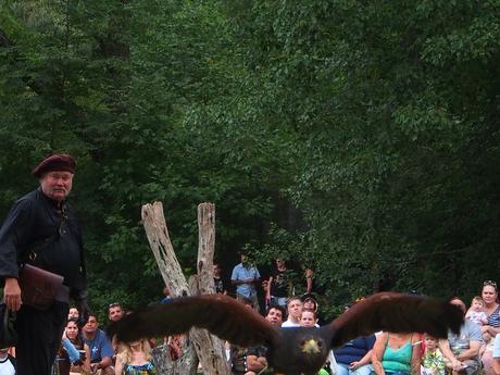 Birds of Prey show #5