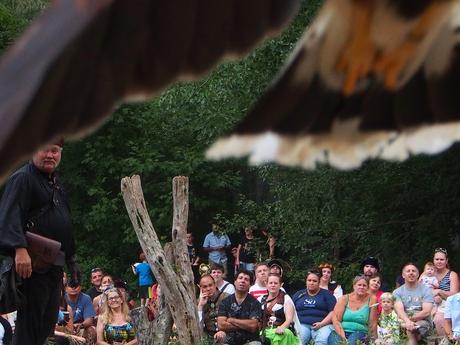 Birds of Prey show #6