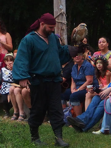 Birds of Prey show #7