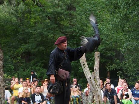 Birds of Prey show #8