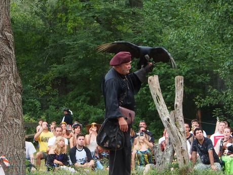 Birds of Prey show #9