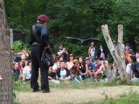 Birds of Prey show #11