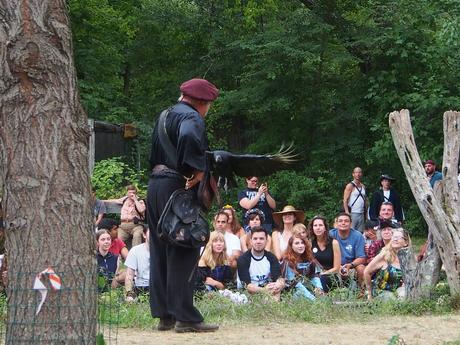 Birds of Prey show #12