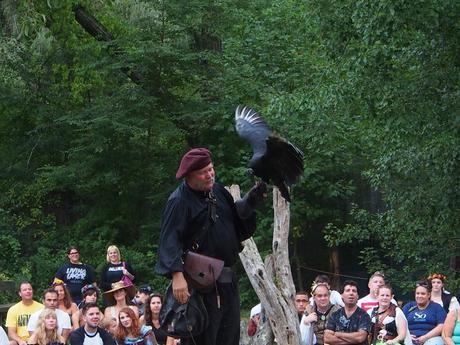 Birds of Prey show #13