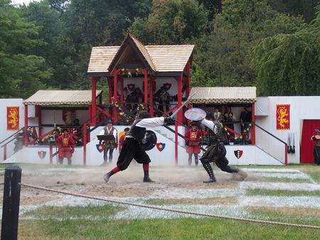 Chess match fight #8