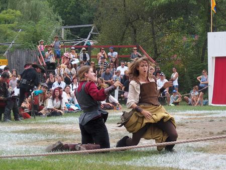 Chess match fight #17