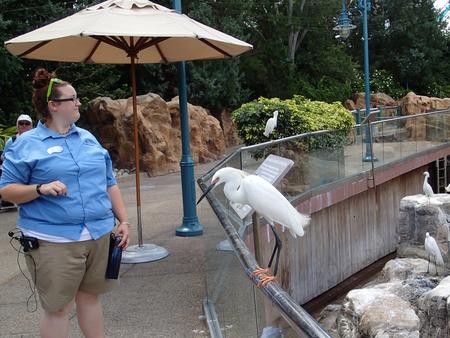 I'm here for my close up